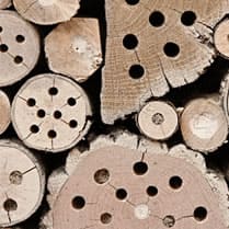 INS - Maisons et hôtels à insectes