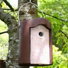 NIC - Nichoirs et mangeoires à oiseaux