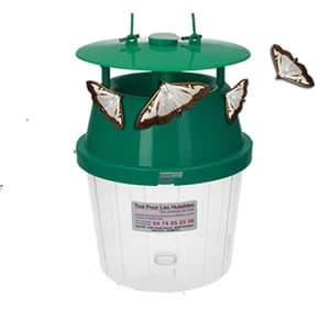 PHE - Lutte biologique avec des phéromones
