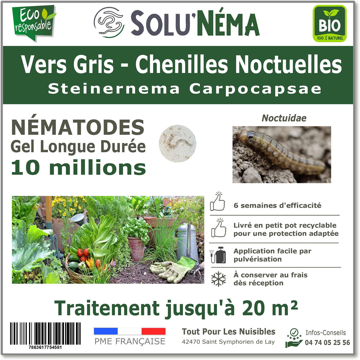 Traitement contre les vers gris avec les nématodes Steinernema Carpocapsae  10 millions SC