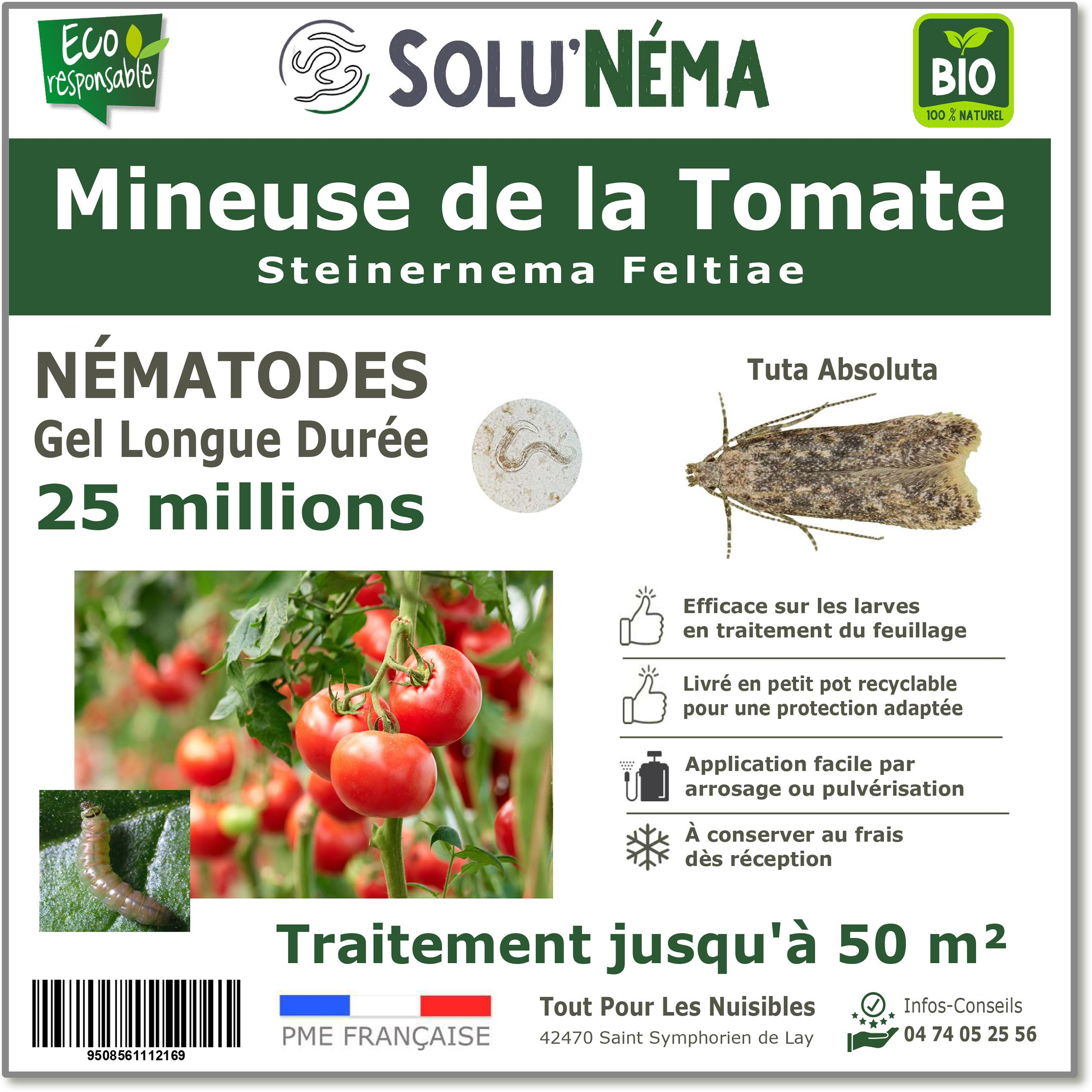 25 Millions de nématodes pour les larves de la mineuse de la tomate
