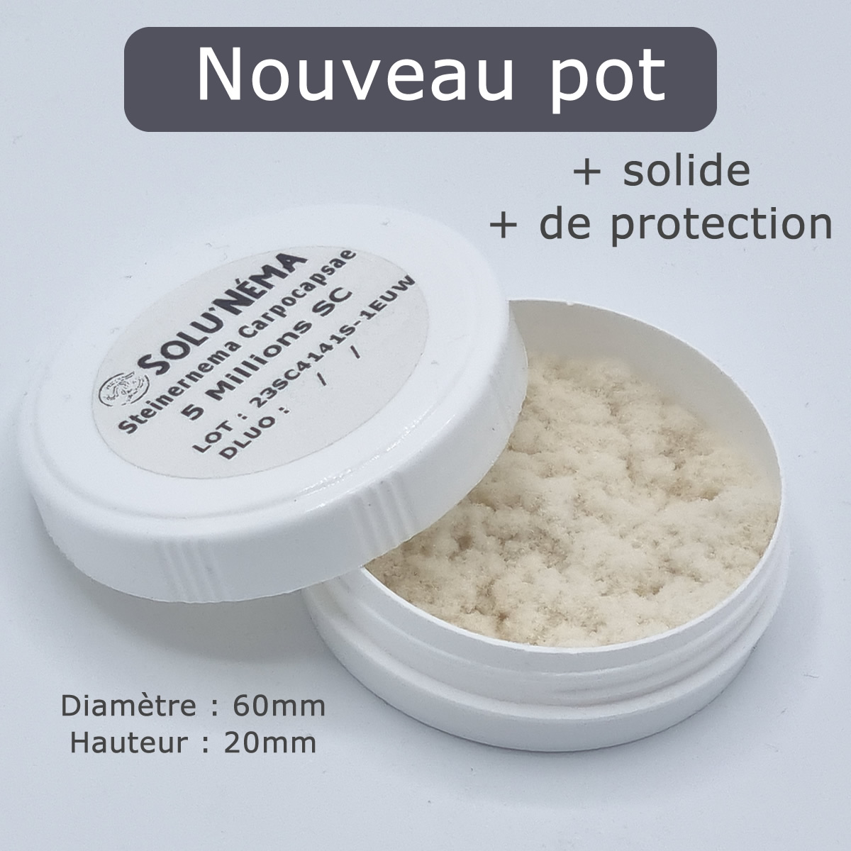 Sachet of Nematodes