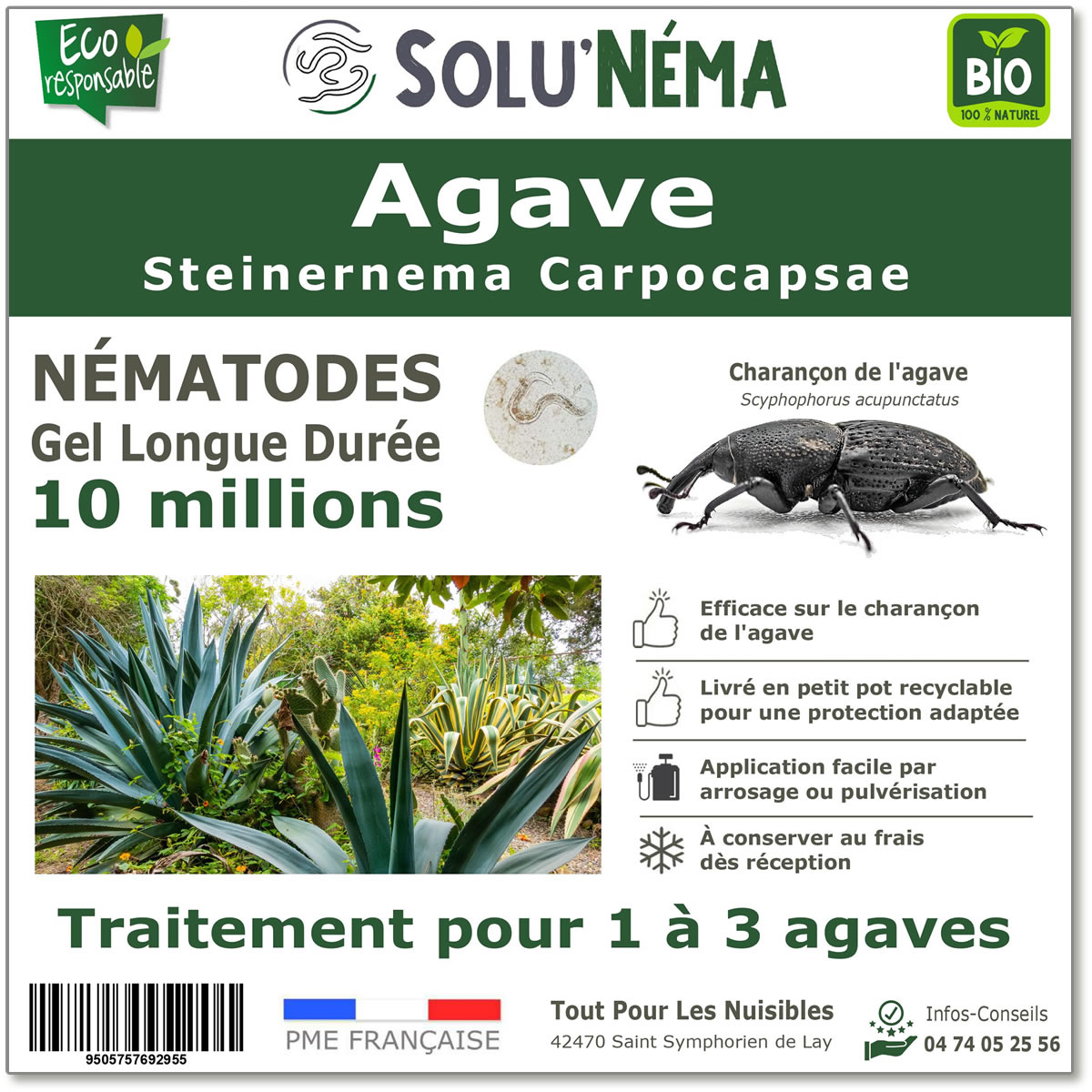 Nématode SC - 10 millions - 1 à 3 Agaves