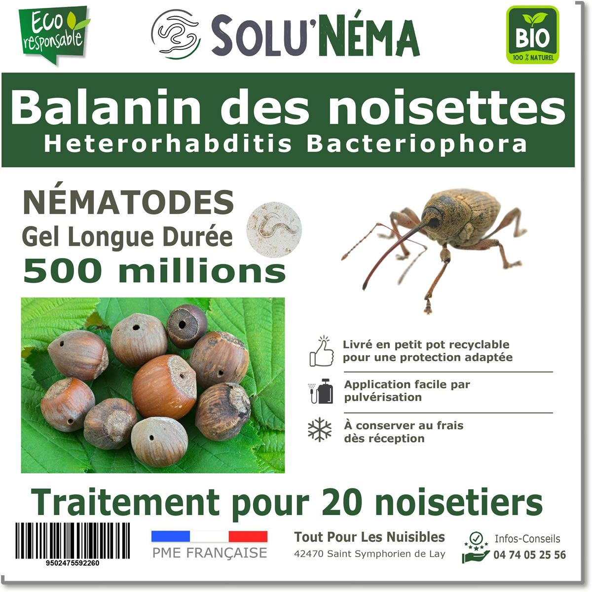 Balanin nocciole 500 M nematodi HB