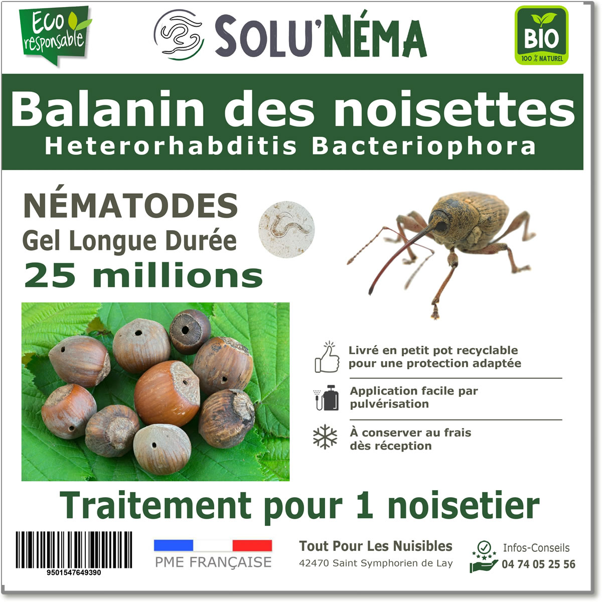 Balanin des noisettes 25 M nématodes HB