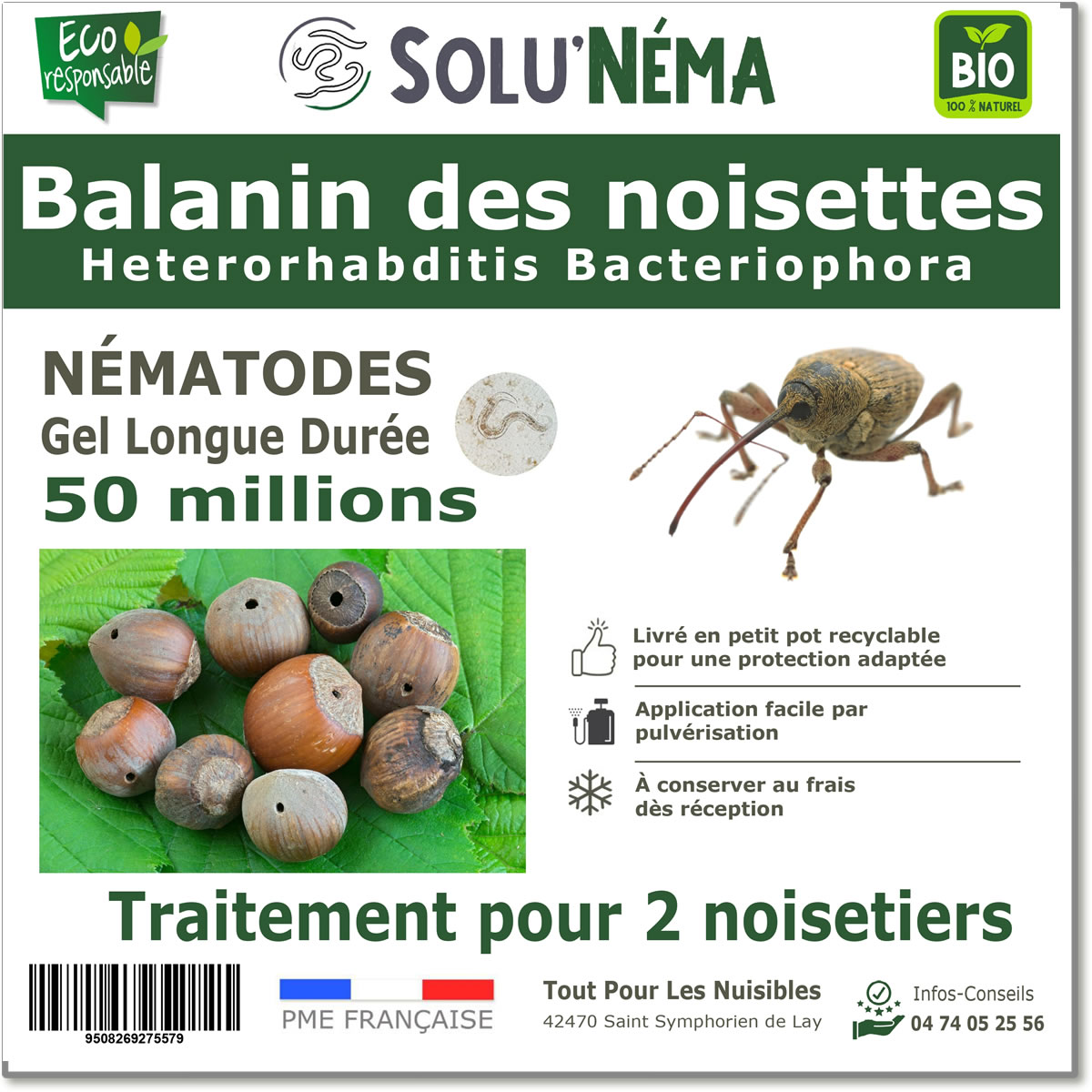 Balanin Avellanas 50 M Nematodos HB