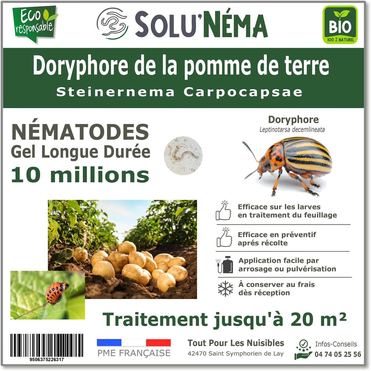 10 million nematodes to treat Colorado potato beetle larvae