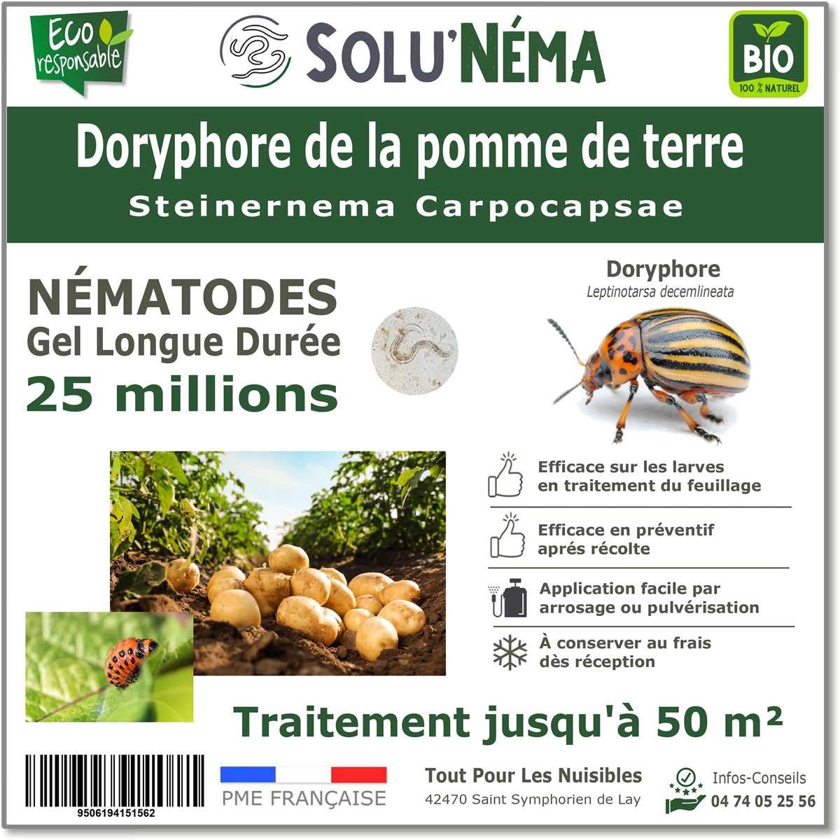 25 million nematodes to treat Colorado potato beetle larvae