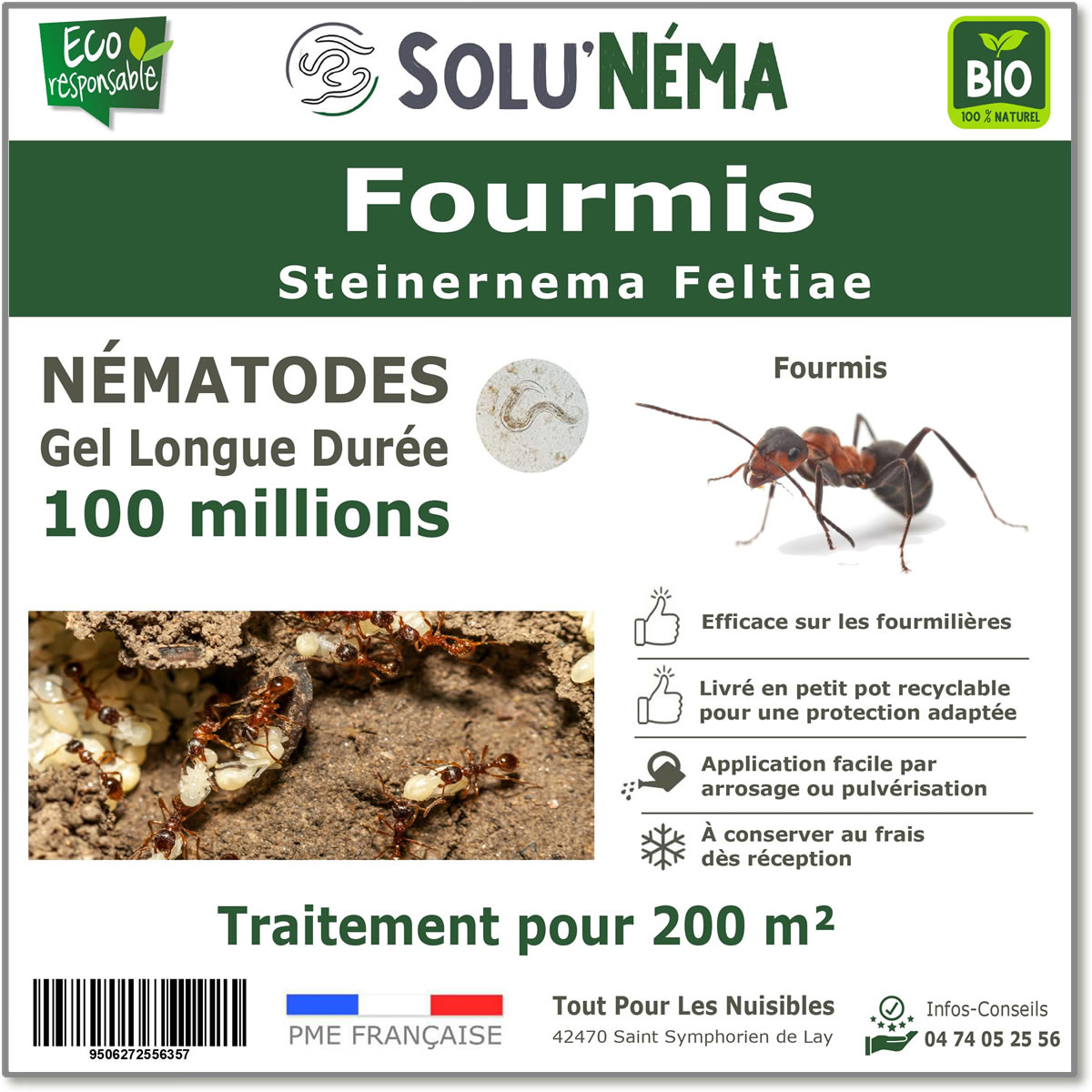 Nématodes traitement des fourmis 100 millions
