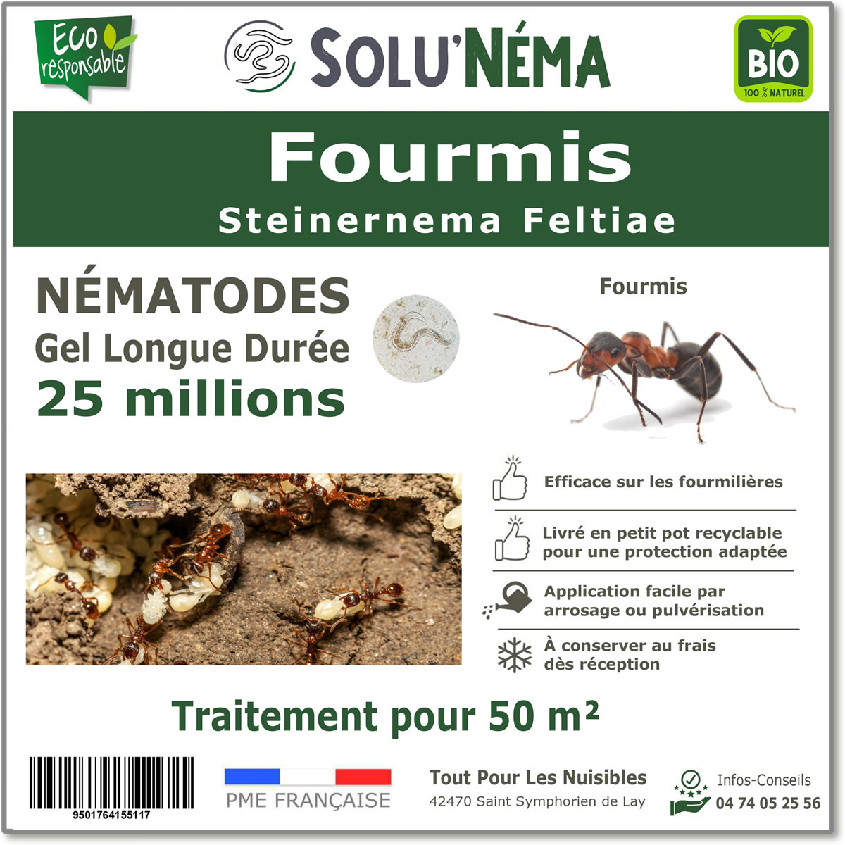 Tratamiento de hormigas nematodas 25 millones