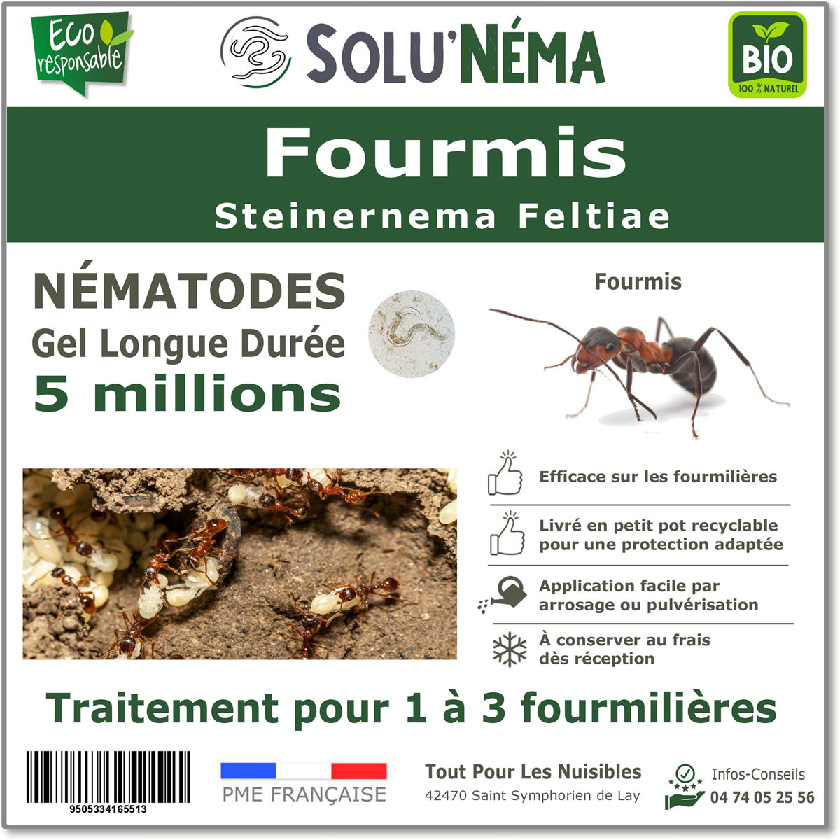 Nématodes traitement des fourmis 5 millions