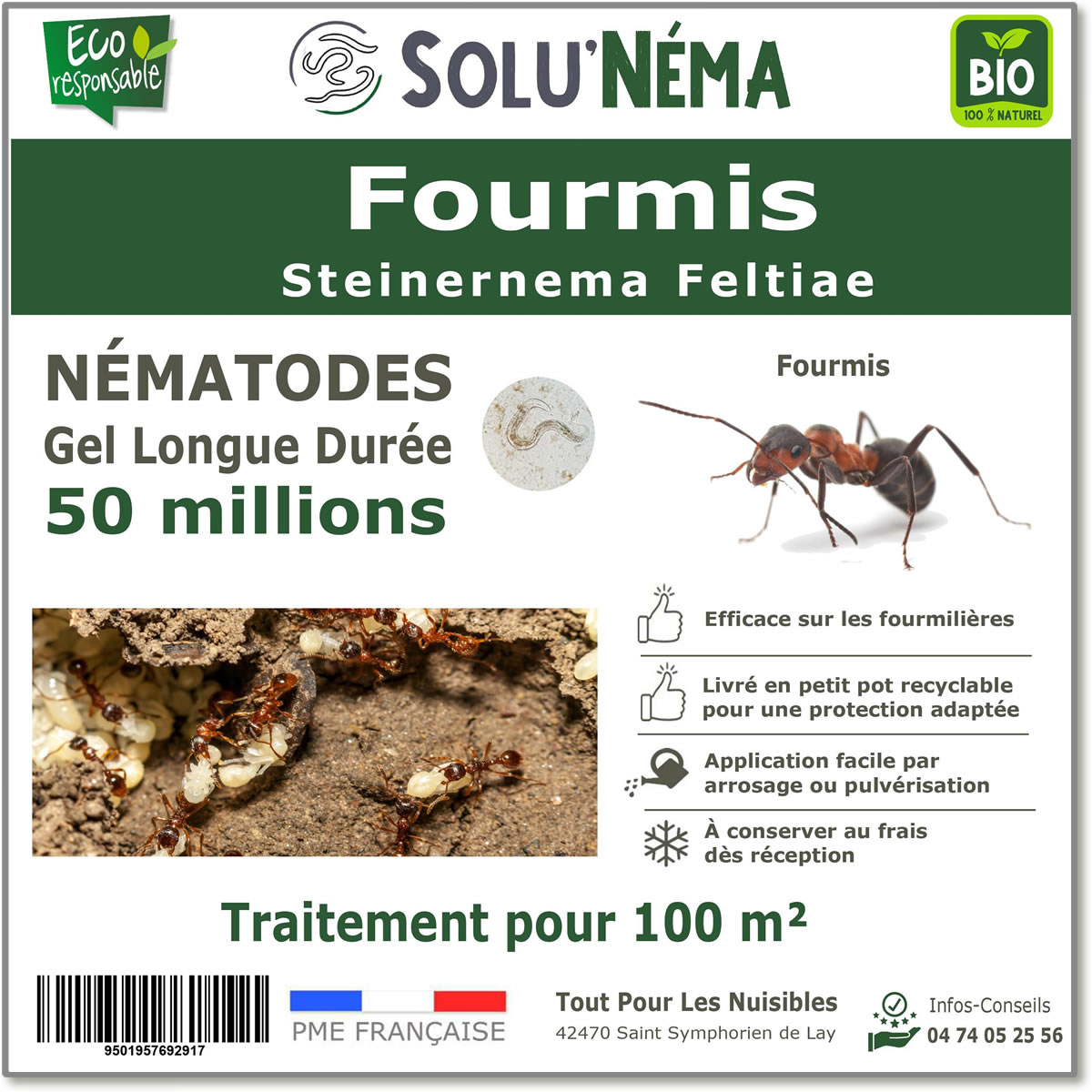 Nématodes traitement des fourmis 50 millions