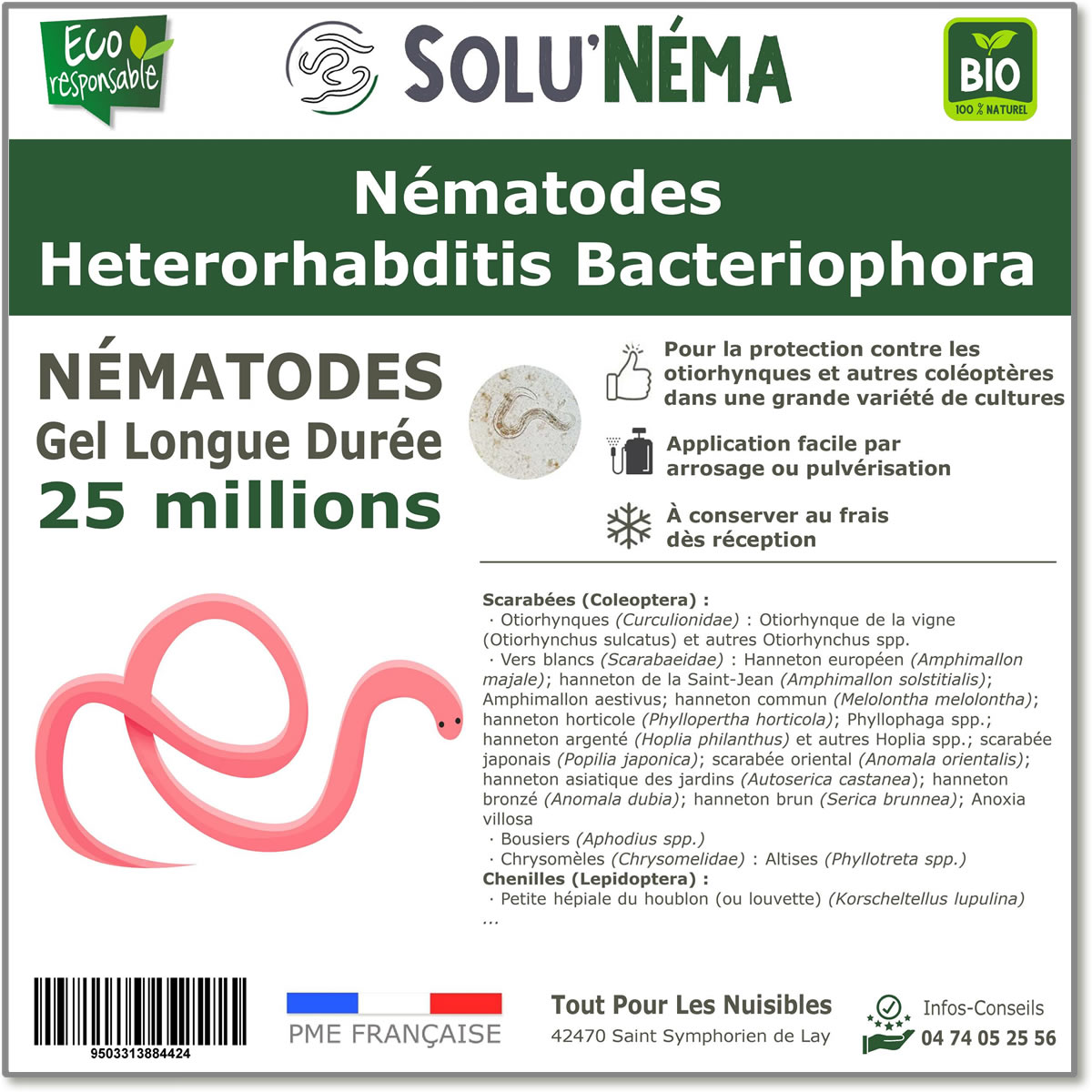25 Millions de nématodes Heterorhabditis Bacteriophora (HB)