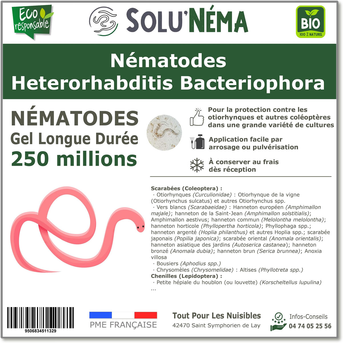 50 Millions de nématodes Heterorhabditis Bacteriophora (HB)