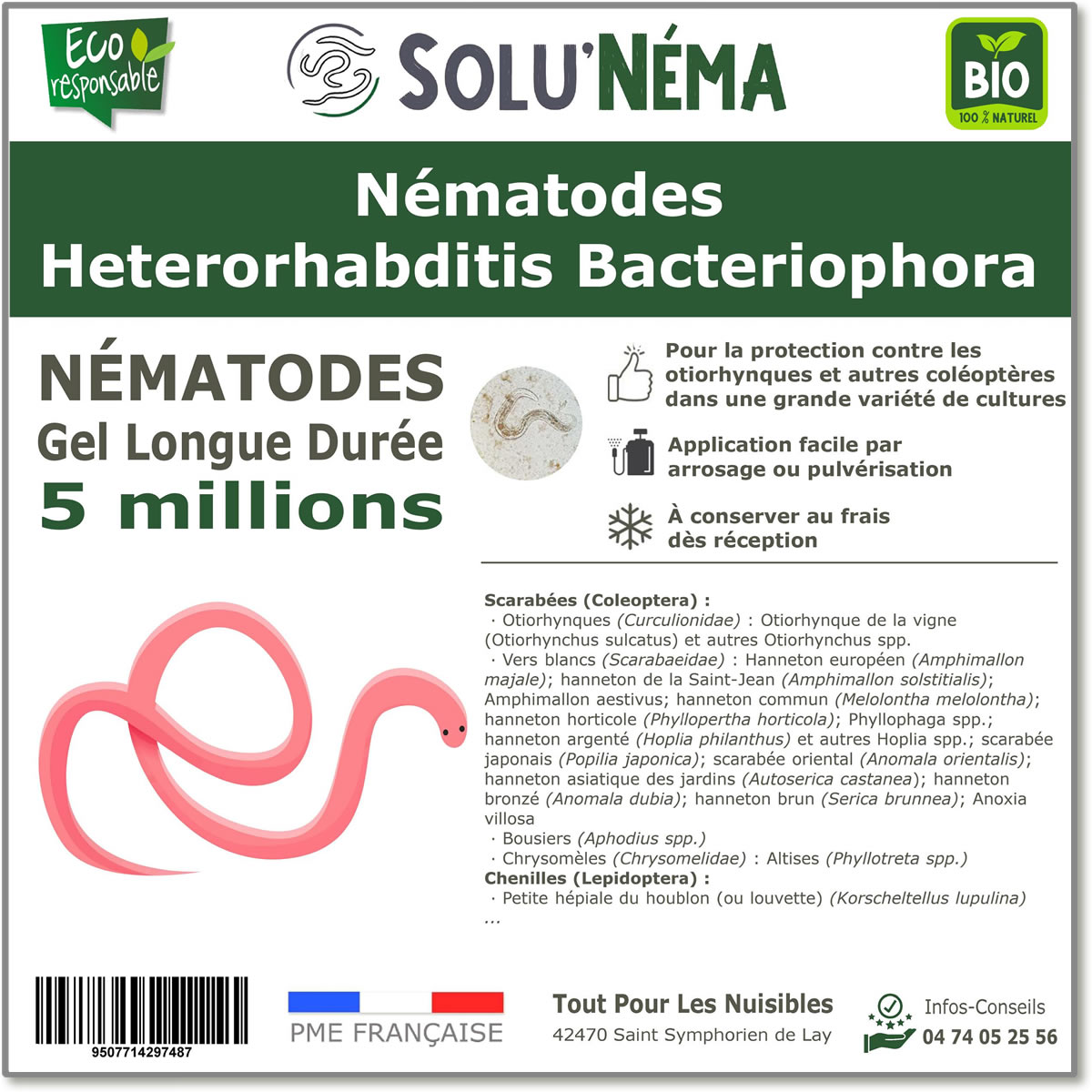 5 Millions de nématodes Heterorhabditis Bacteriophora (HB)
