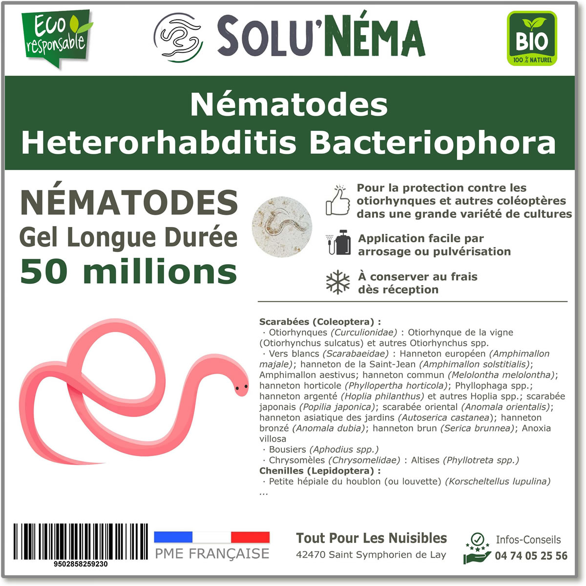 50 millones de nematodos Heterorhabditis Bacteriophora (HB)