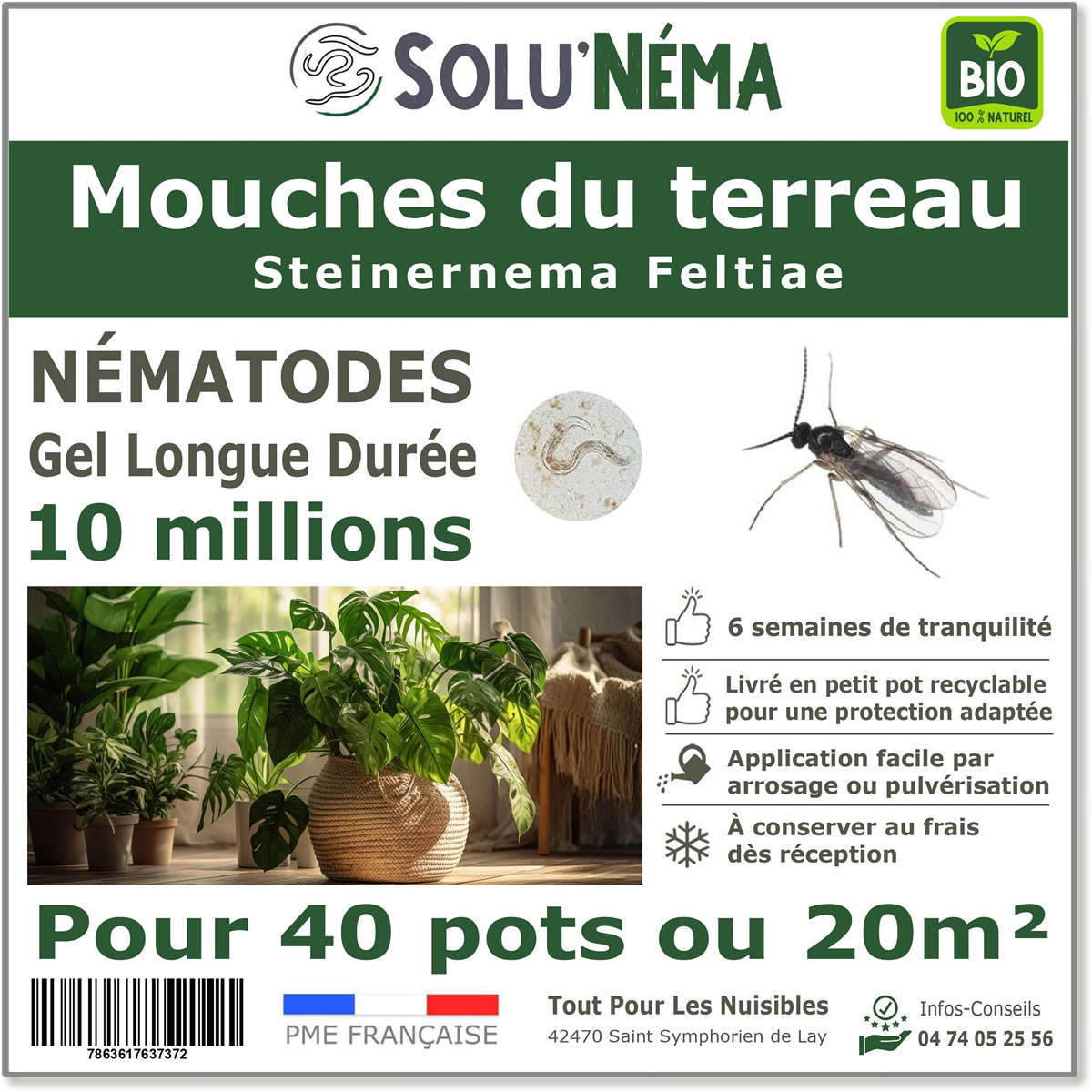 Nématodes (SF) Solunema pour Les mouches du terreaux 10 millions SF