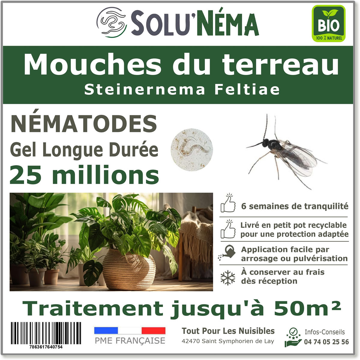 Nématodes (SF) Solunema pour Les mouches du terreaux 25 millions