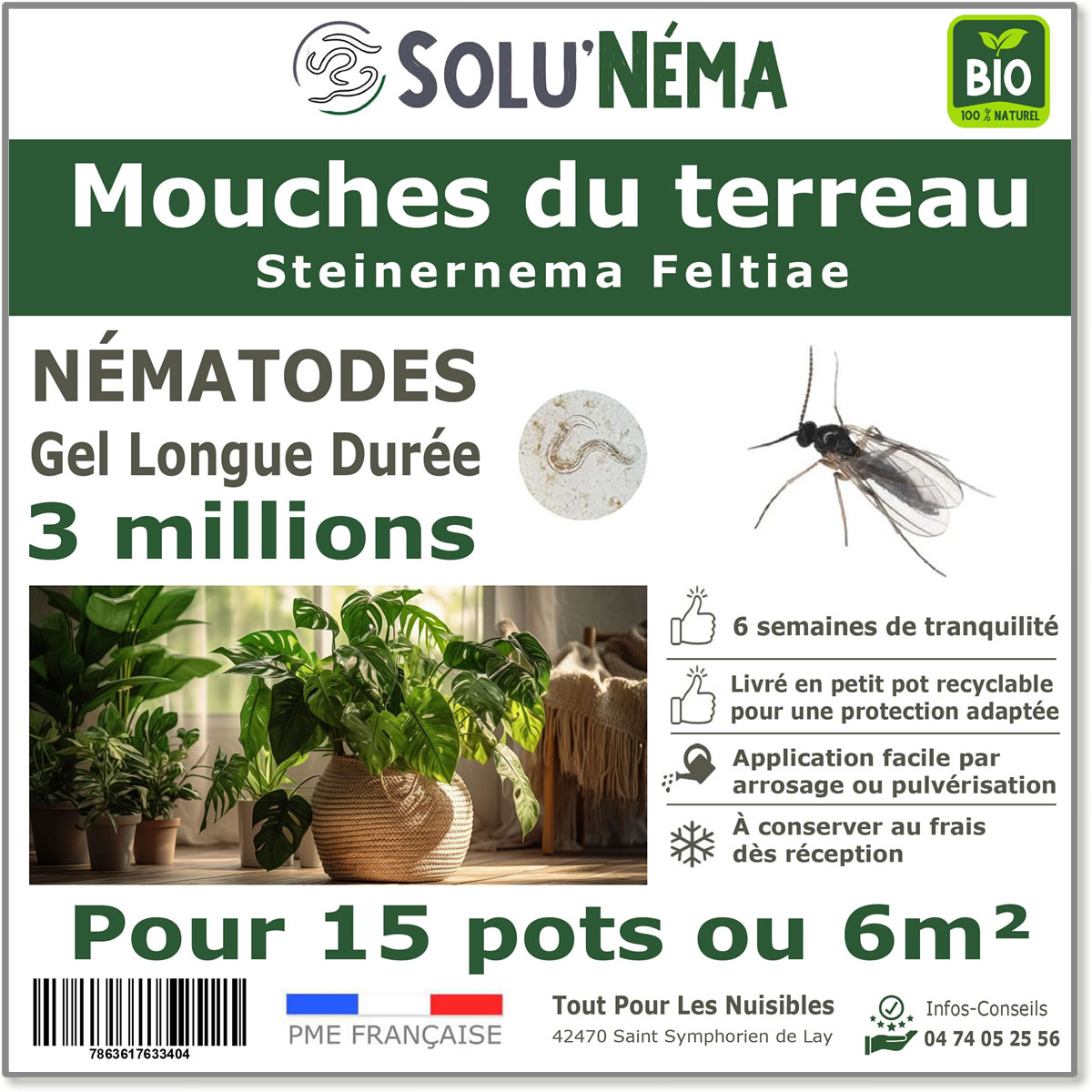 Nématodes (SF) Solunema pour Les mouches du terreaux 3 millions SF