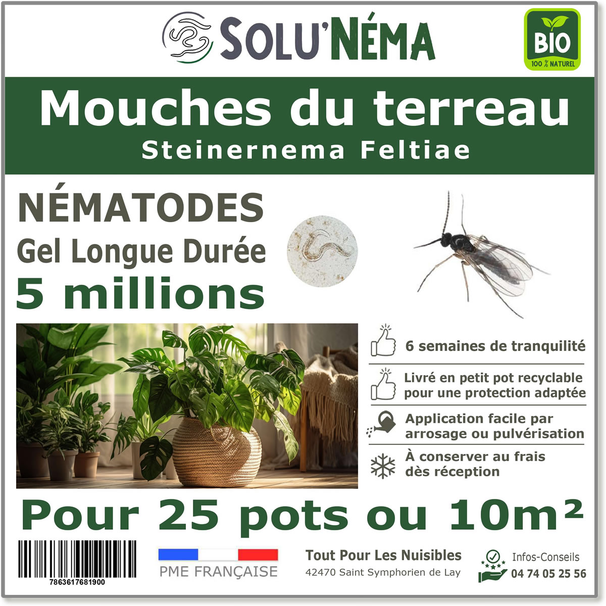 Nématodes (SF) Solunema pour Les mouches du terreaux 5 millions SF