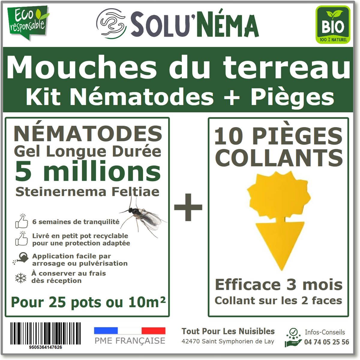 Traitement contre la mouche des terreaux - le ver blanc, 2 millions de  Nématodes SF - Tout Pour Les Nuisibles