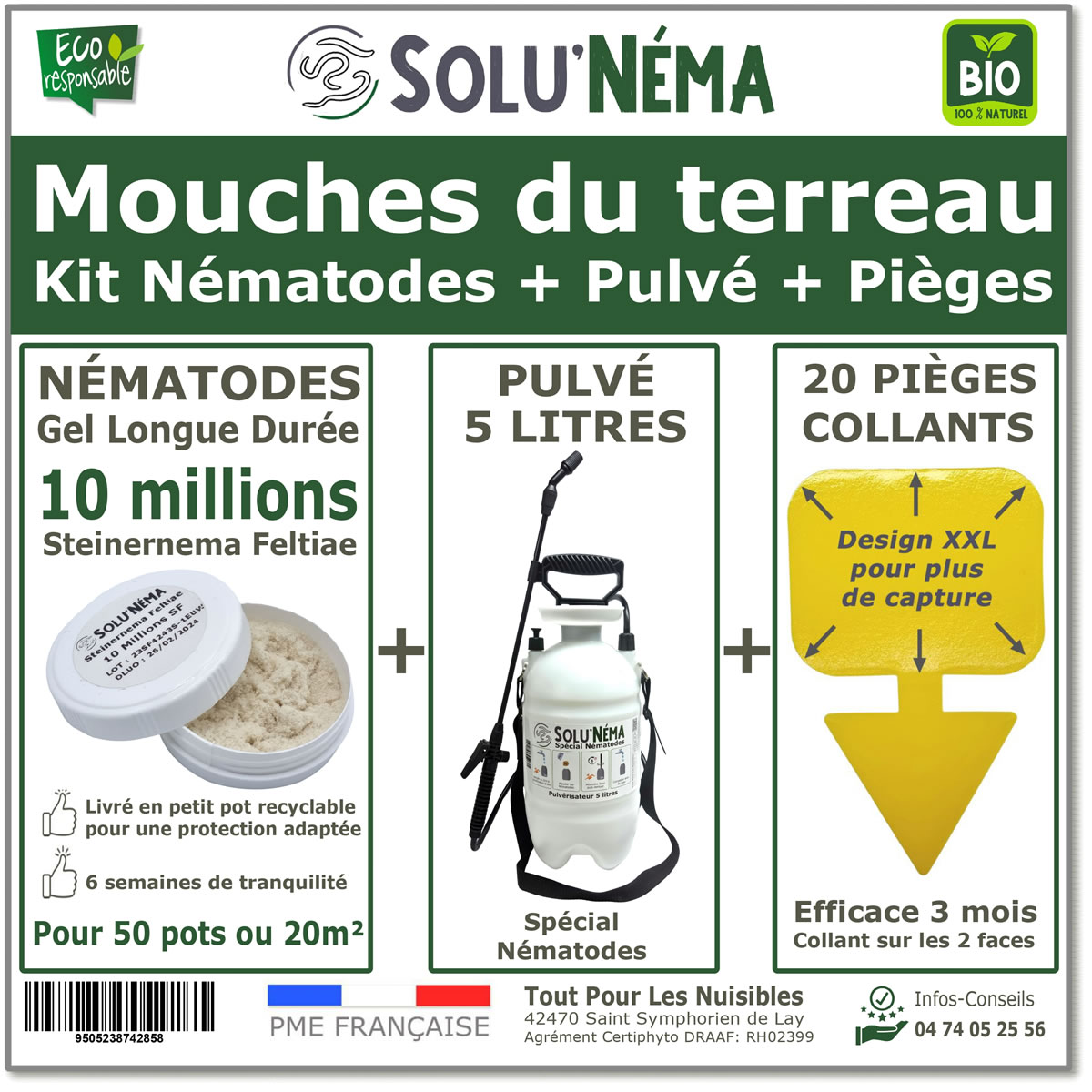Nematodi (SF) 10 milioni per 20 m² - Consegnato con spruzzatore da 5 litri e 20 trappole adesive gialle XXL.