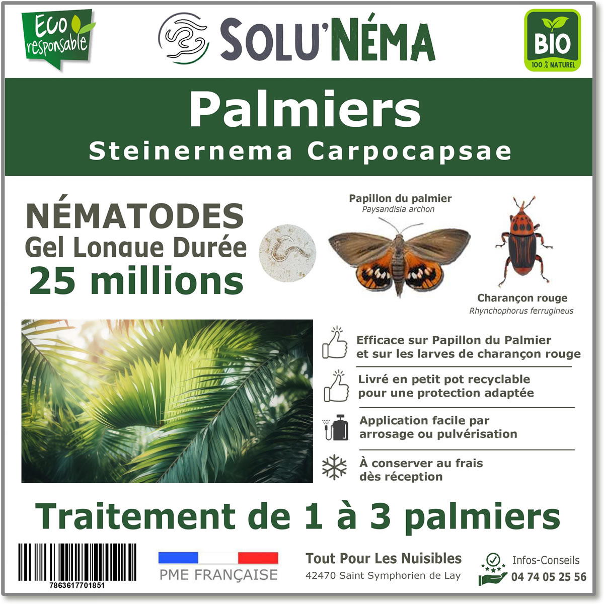 Nématode SC - 25 millions - 2 à 3 palmiers
