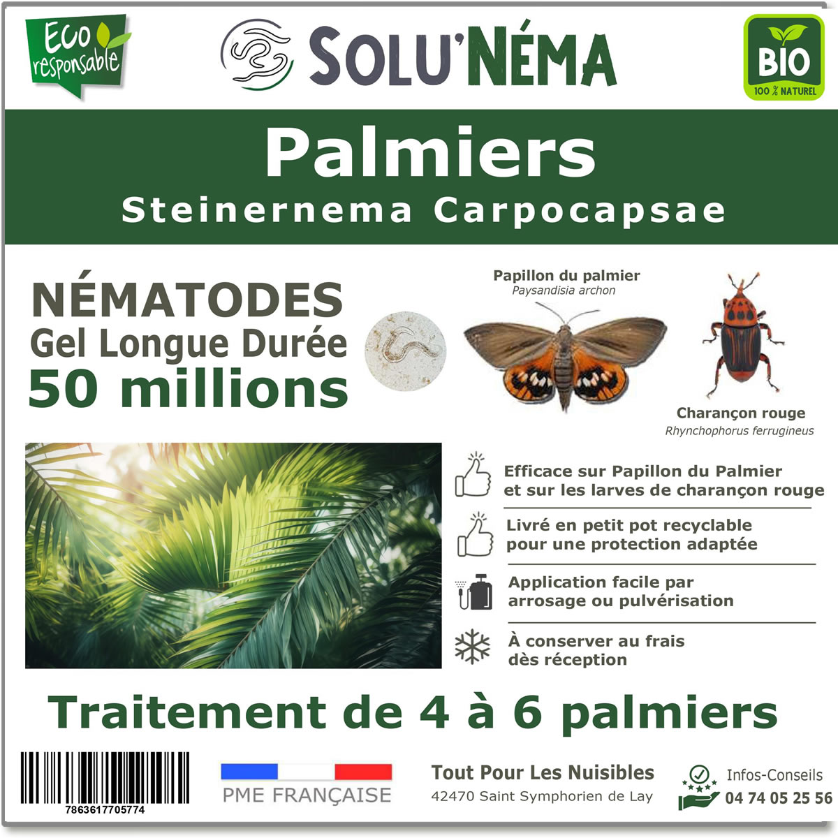 Nématode SC - 50 millions - 4 à 6 palmiers