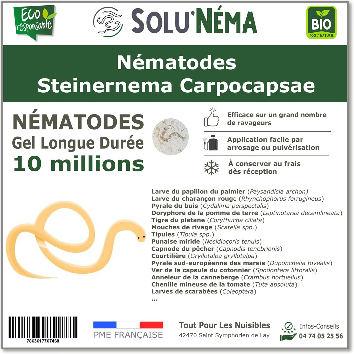 10 Millions de nématodes Steinernema Carpocapsae (SC)