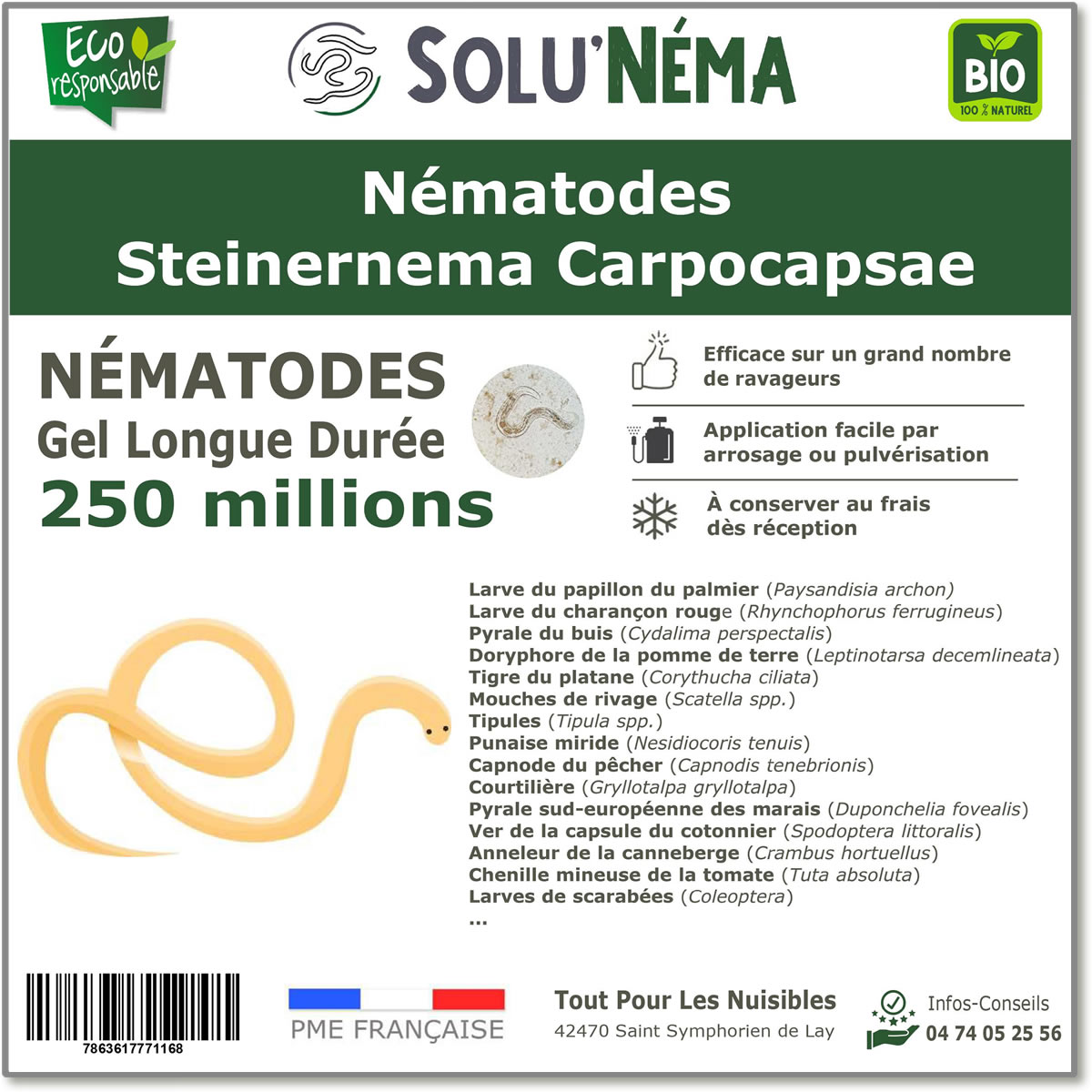 250 Millions de nématodes Steinernema Carpocapsae (SC)