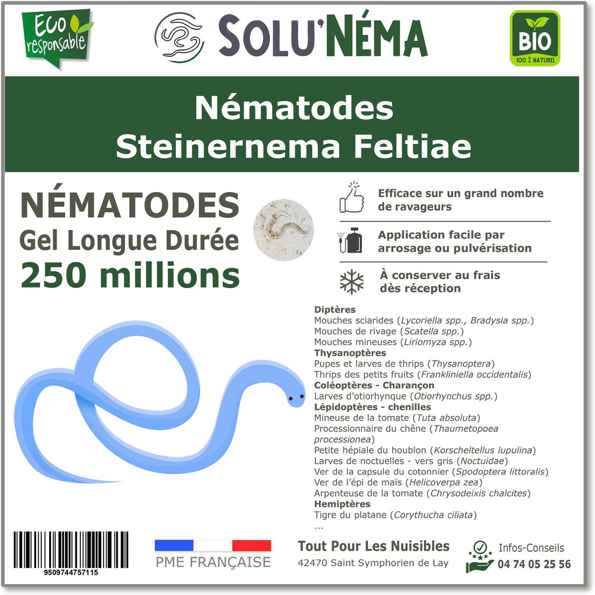 250 Millions de nématodes Steinernema Feltiae (SF)