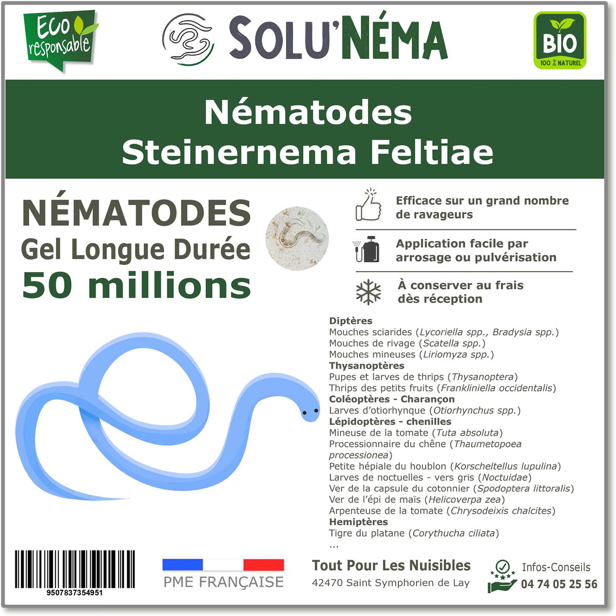 50 Millions de nématodes Steinernema Feltiae (SF)
