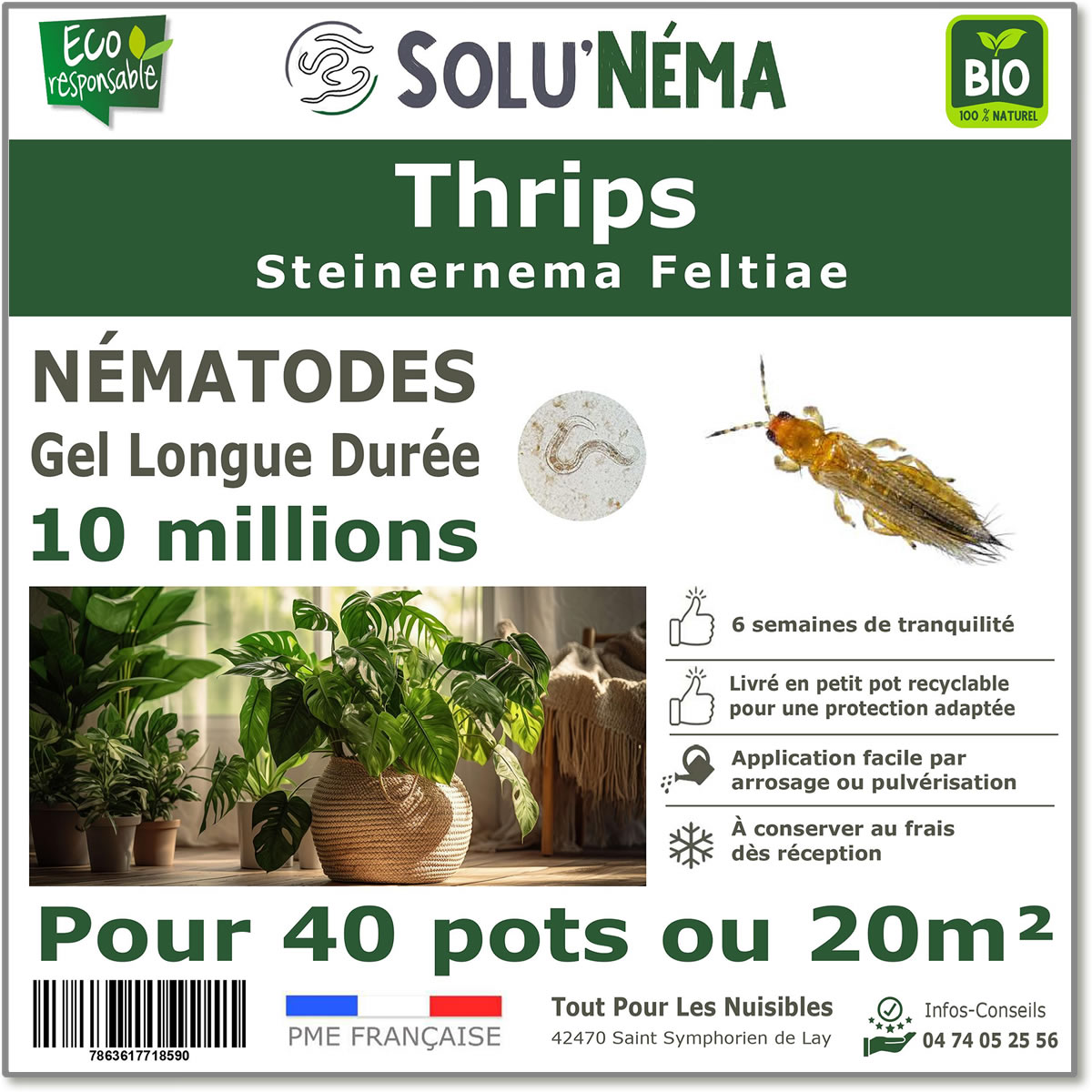Nematodes (SF) Solunema for Thrips 10 million SF