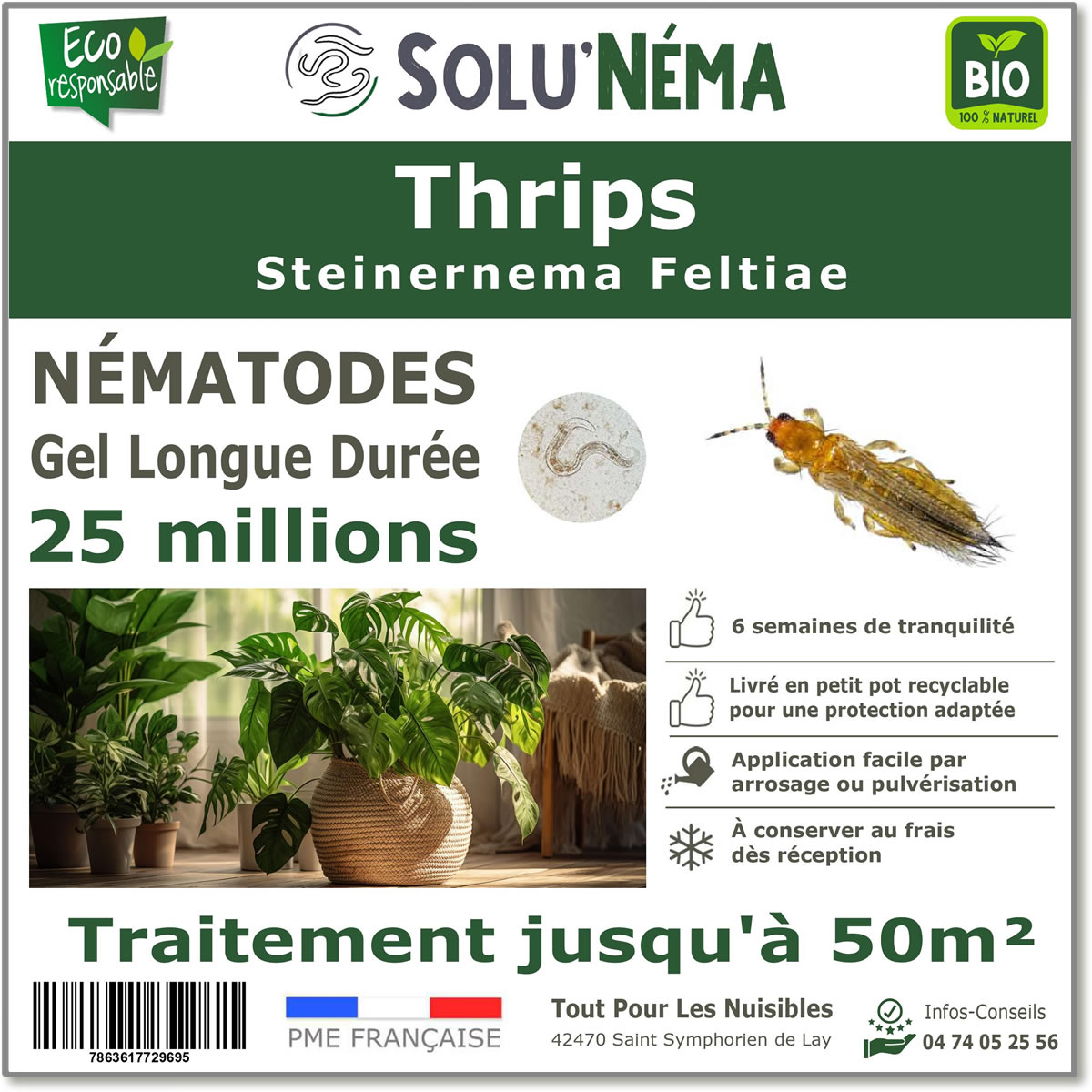 Nématodes (SF) Solunema pour Les Thrips 25 millions SF