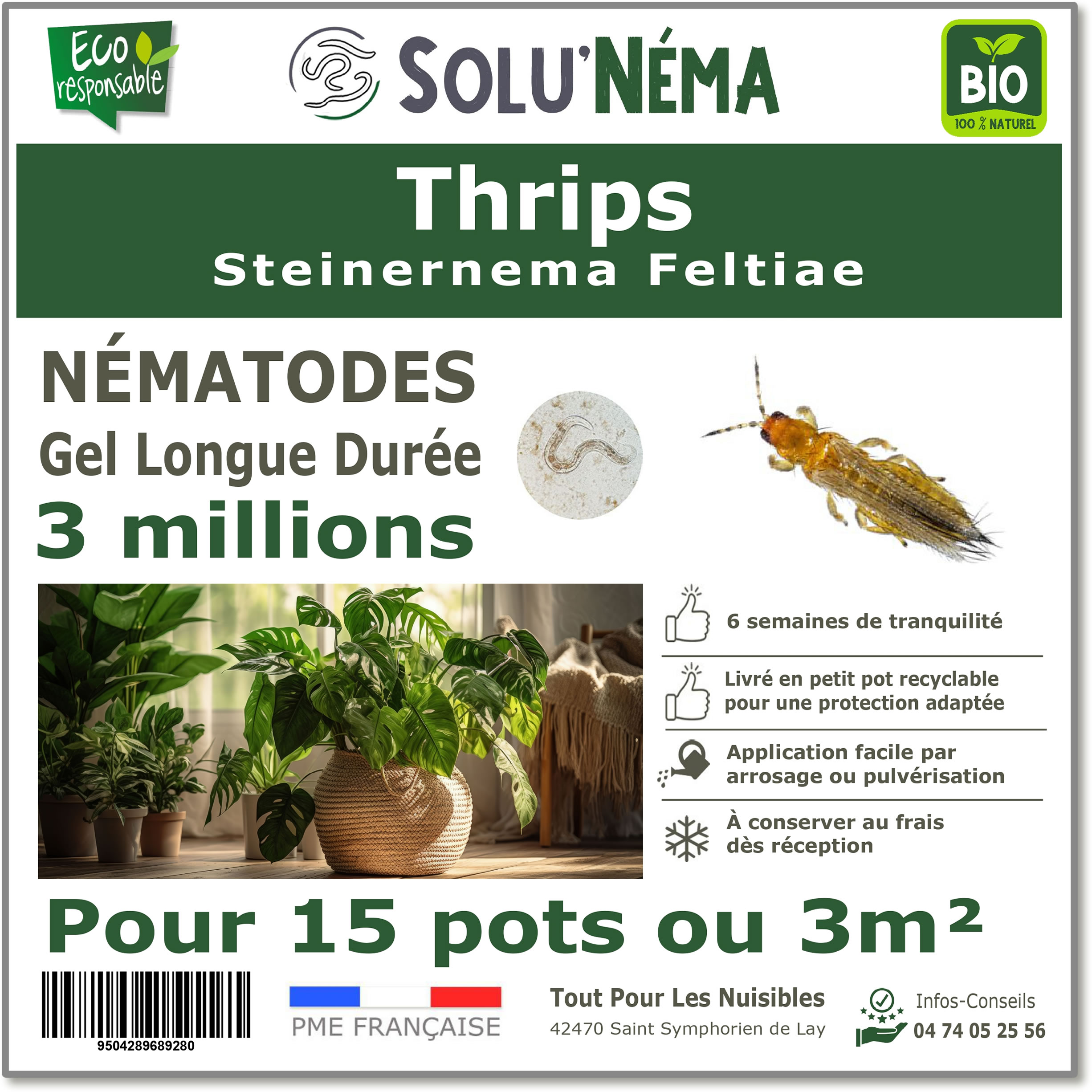 Thrips 3 millions de nématodes