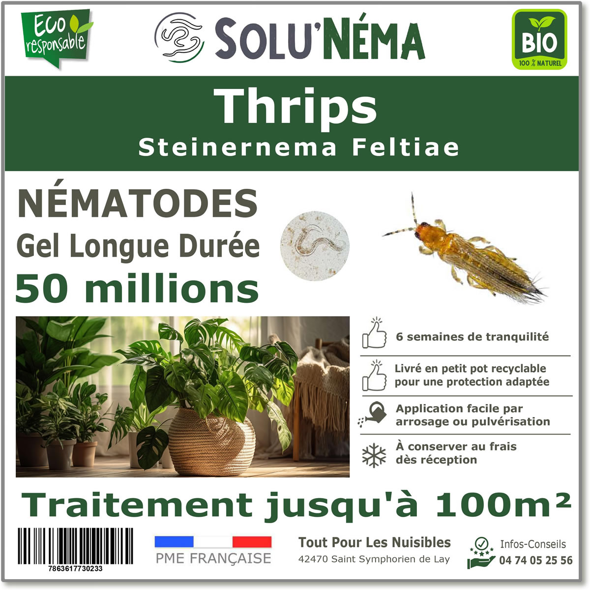 Nématodes (SF) Solunema pour Les Thrips 50 millions SF