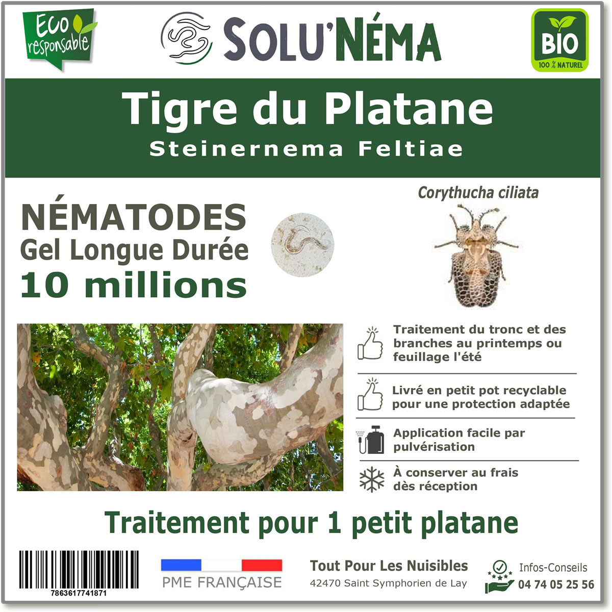 10 millions de nematodes pour le tigre du platane