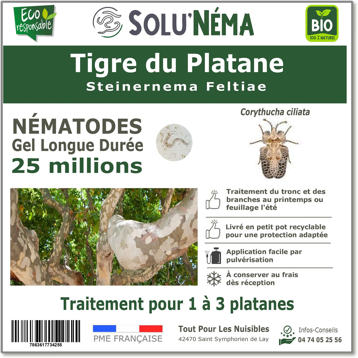 Nematodes-tigre-du-platane-25-millions