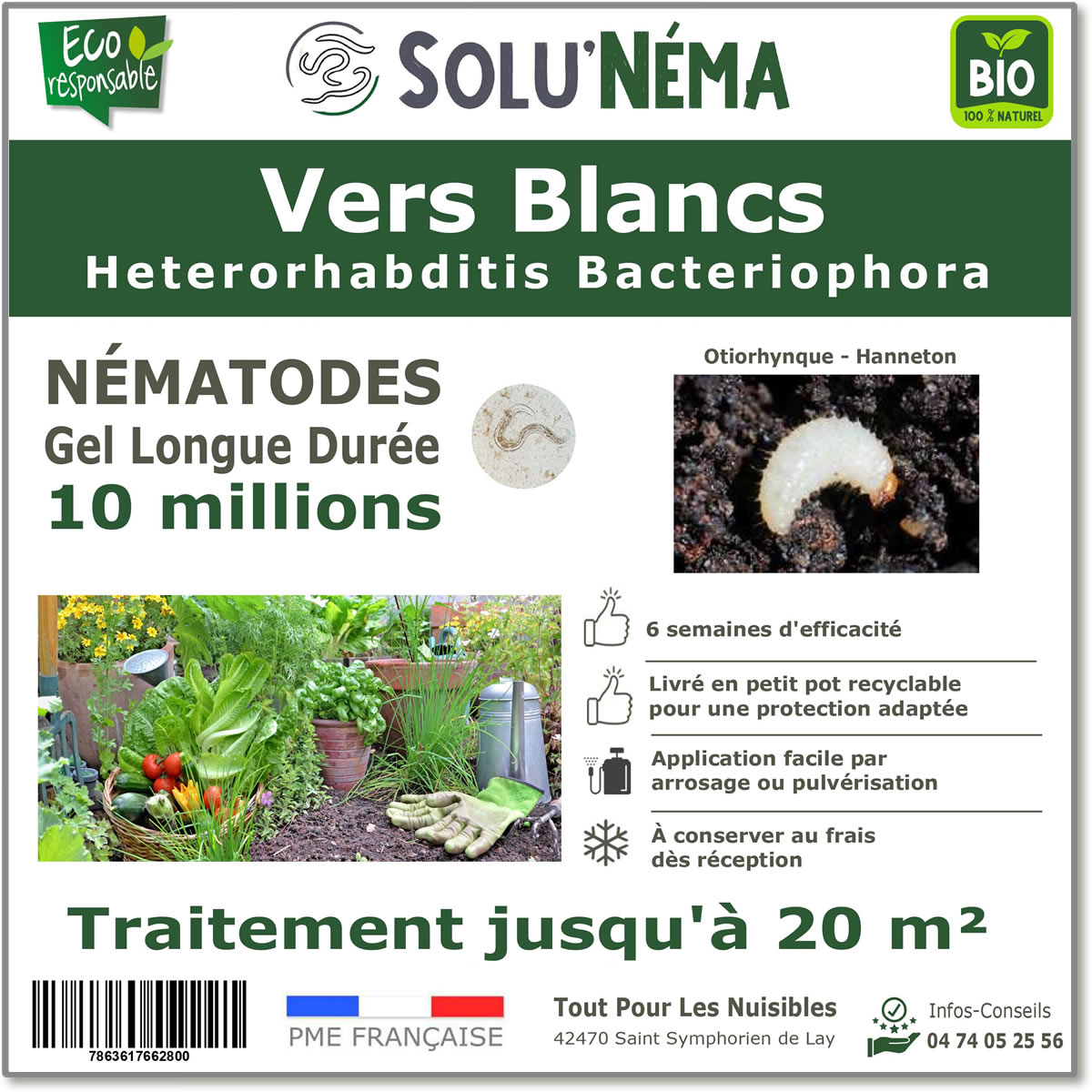Nématodes (HB) Solunema pour Les vers blancx - otiorhinque - hanneton 10 millions SF
