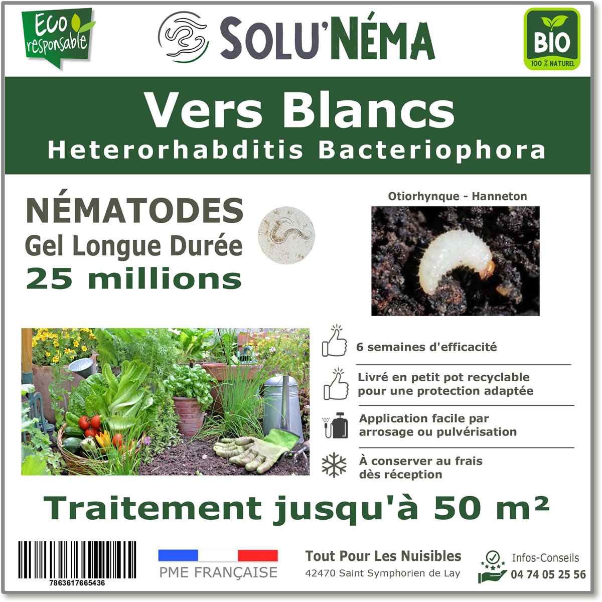 Nématodes (HB) Solunema pour Les vers blancx - otiorhinque - hanneton 25 millions SF
