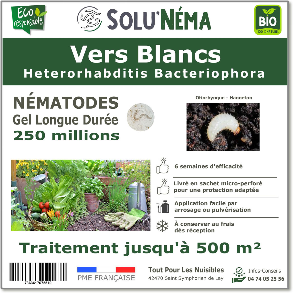 Nématodes (HB) Solunema pour Les vers blancx - otiorhinque - hanneton 250 millions SF