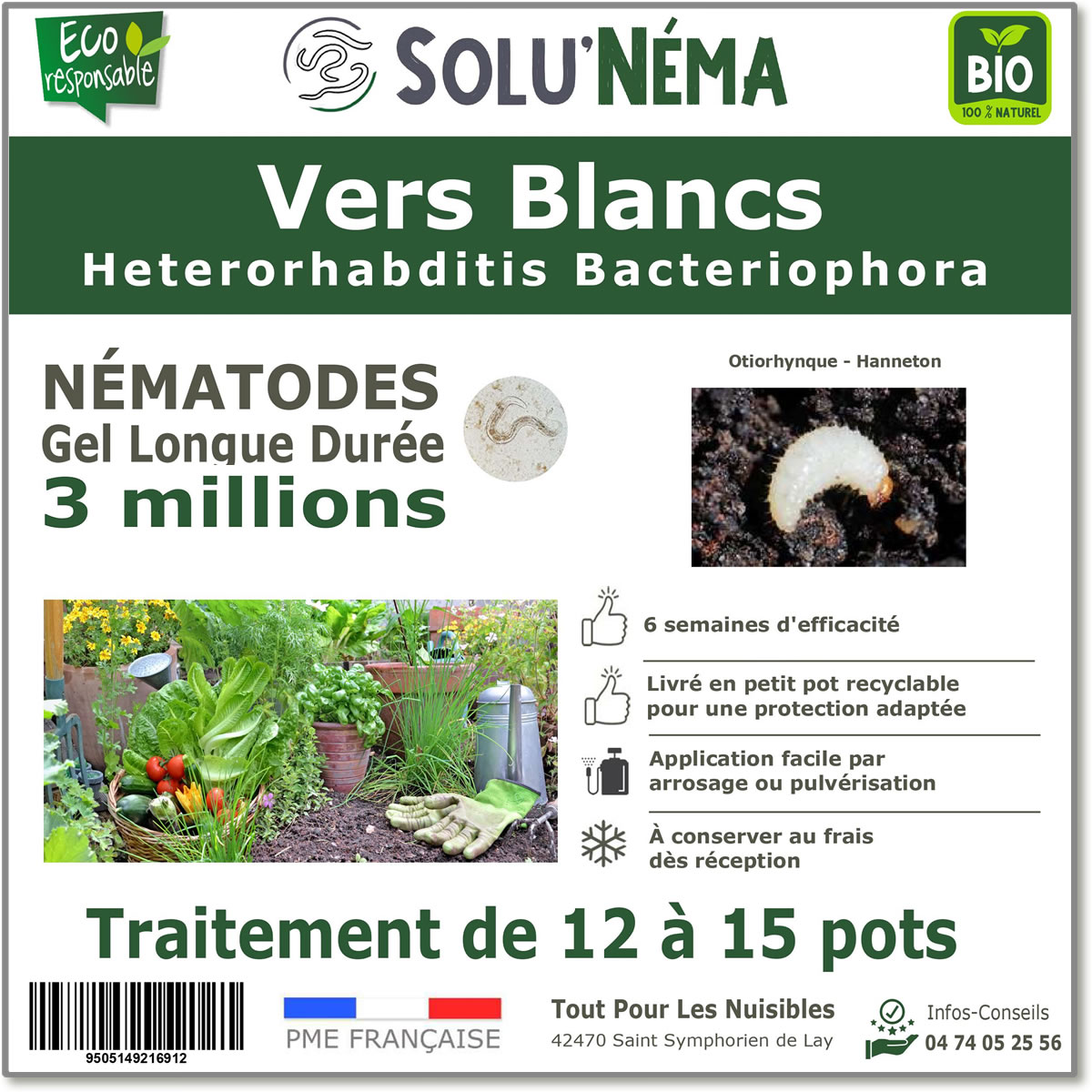 Nématodes (HB) Solunema pour Les vers blancx - otiorhinque - hanneton 3 millions SF