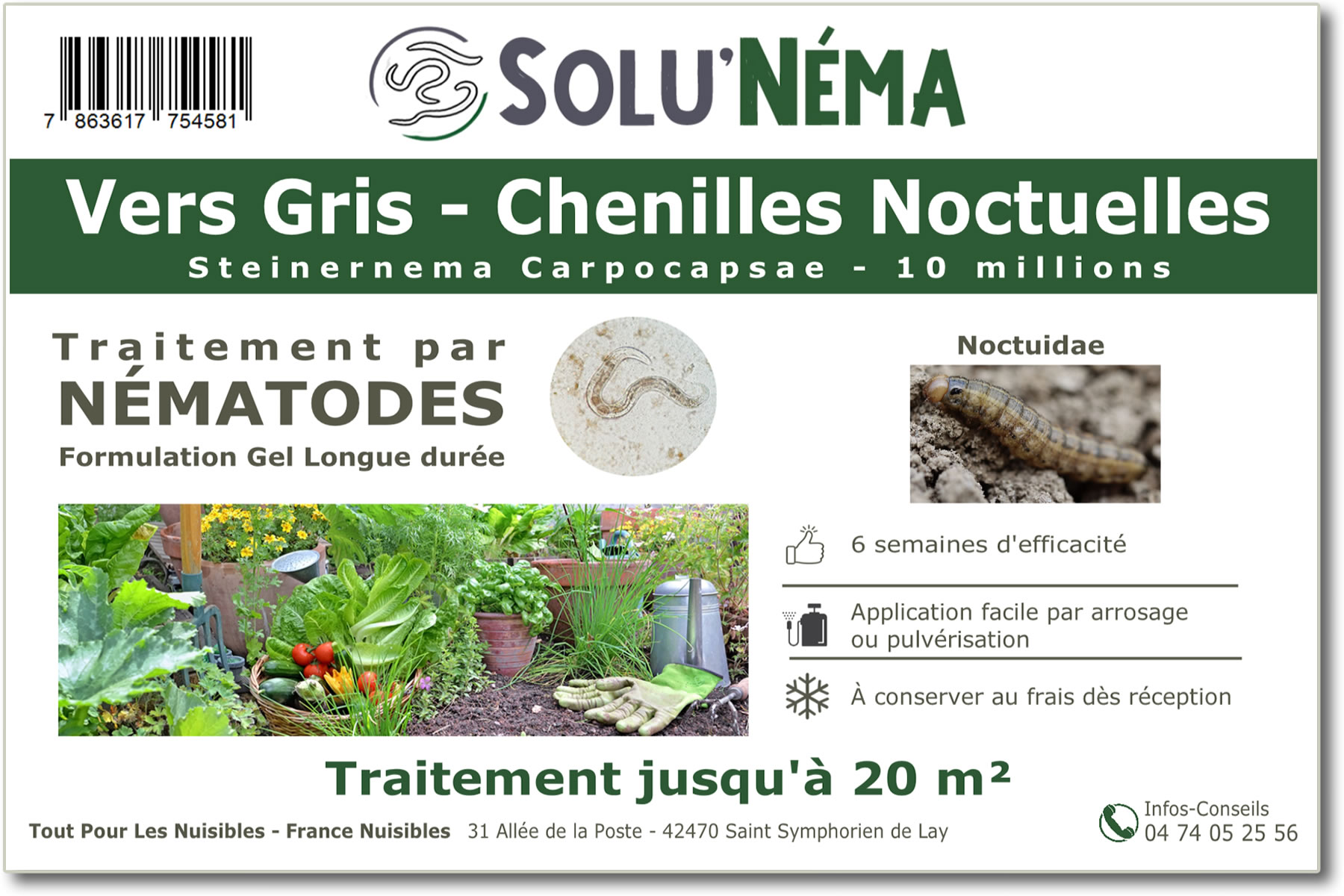 Treatment against cutworms with nematodes Steinernema Carpocapsae 10 million SC