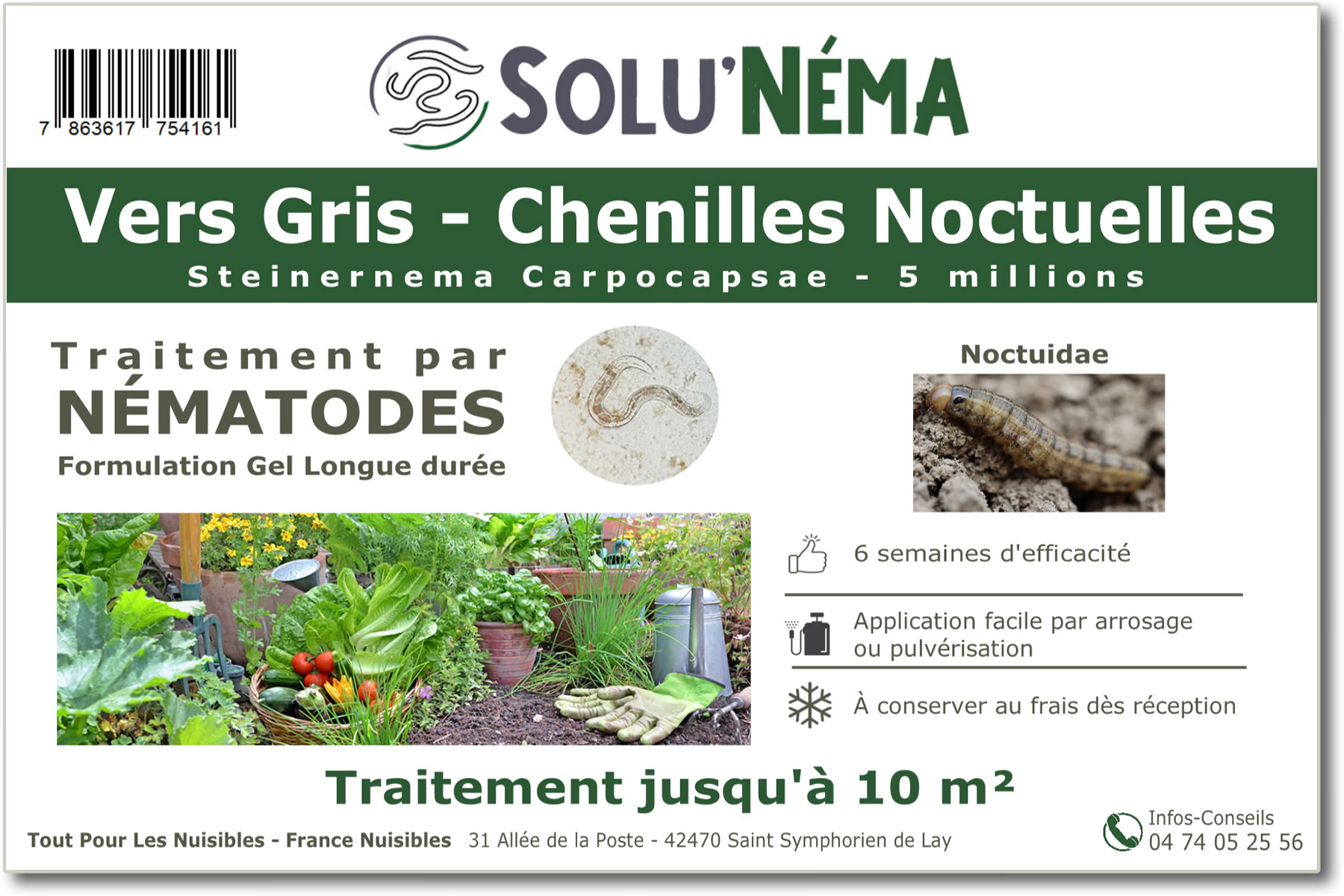 Treatment against cutworms with nematodes Steinernema Carpocapsae 5 million SC