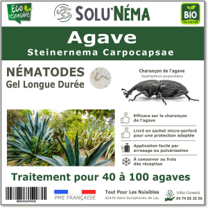 Nematodi dell'agave