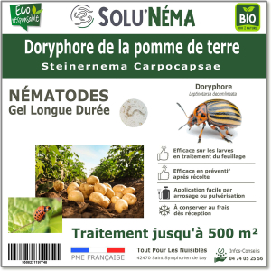 Nematodes Steinernema Carpocapsae for biological treatment of Colorado potato beetle larvae