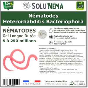 Nematodes Heterorhabditis Bacteriophora (HB)