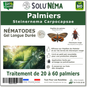 Nématodes Palmiers