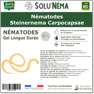 nematodi-steinernema-carpocapsae-sc