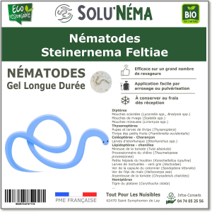 nematodi-steinernema-carpocapsae-sc